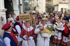 305202576_894211354873761_6775044239307528818_n